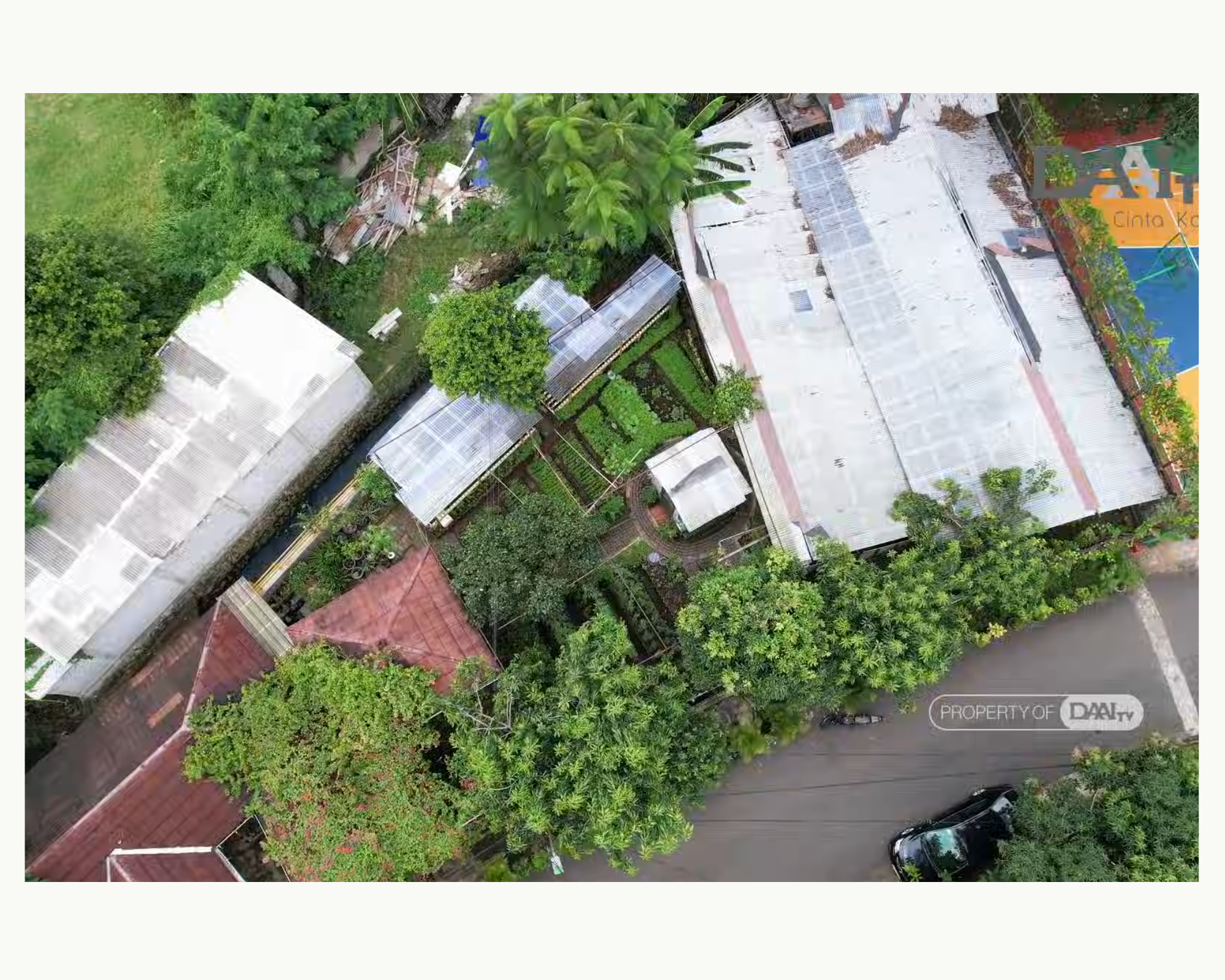 Urban Farming Jakarta